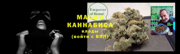 СК Пересвет