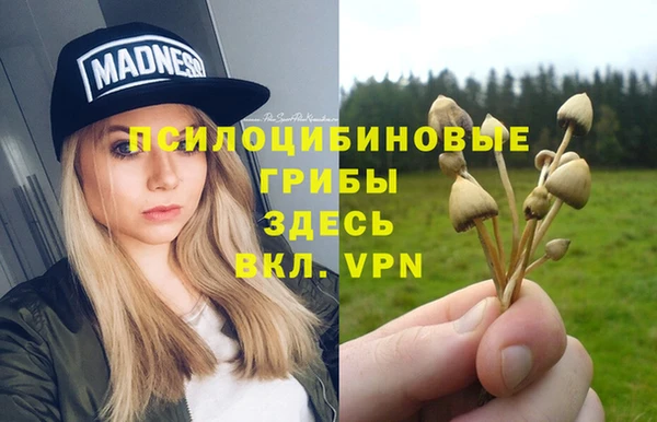 тгк Пестово