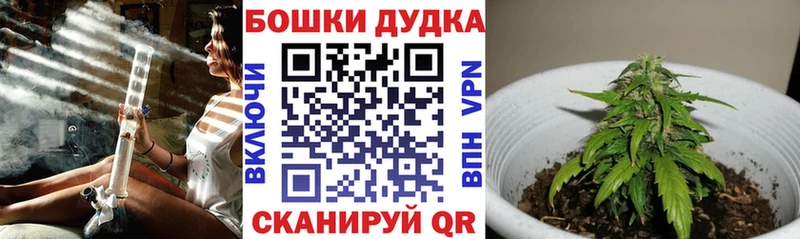 Шишки марихуана планчик купить наркоту Краснозаводск
